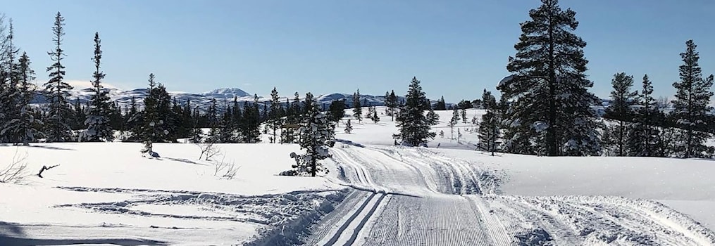 Sørfjellrennet 2024- Turklassen